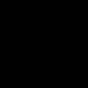 Meet your Posher, Viviana